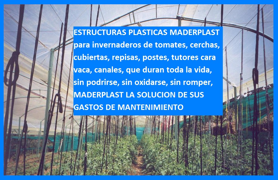 Invernadero para tomates en estructura de madera plástica maderplast invernadero en metal plástico invernadero de tomate vidrio plástico aluminio plástico invernadero de tomateras y tomates 004 Invernadero para tomates en estructura de madera plástica maderplast invernadero en metal plástico invernadero de tomate vidrio plástico aluminio plástico invernadero de tomateras y tomates 004